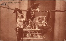Old postcard improvised d'occasion  Expédié en Belgium
