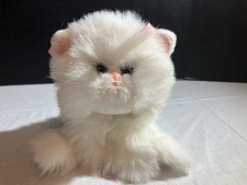 Kitty kitty fancy for sale  Red Lion