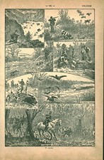 Document planche ancienne d'occasion  France
