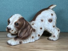 Playful brown white for sale  AYLESBURY