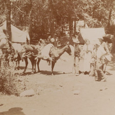 Carne de veado de caça acampamento Western de estereoscopia c1913 Caçador arma Tenda Antigo Foto A1696 comprar usado  Enviando para Brazil