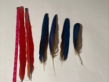 Lot scarlet macaw for sale  La Grange