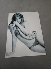 Tpeep23 magazine picture for sale  UK