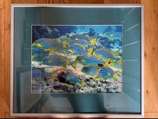 Underwater wildlife limited for sale  GUILDFORD