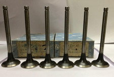 6 PÇS VÁLVULA DE ESCAPE X G & S 1041 SERVE PARA FORD comprar usado  Enviando para Brazil