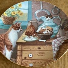 Country kittens collectors for sale  HEMEL HEMPSTEAD