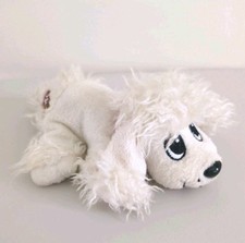 Pound puppies minis for sale  YORK