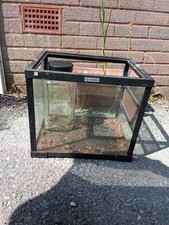 Stick insect tank for sale  ALFRETON