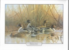 Afternoon pintails richard for sale  Toms River