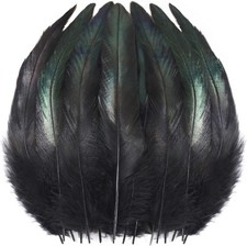 200 pcs black for sale  Jacksonville