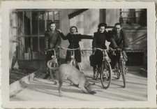 PHOTO ANCIENNE - VINTAGE SNAPSHOT - VÉLO BICYCLETTE GROUPE ANIMAL CHIEN-BIKE DOG comprar usado  Enviando para Brazil