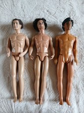 Lot figurines ken d'occasion  Dompierre-sur-Besbre