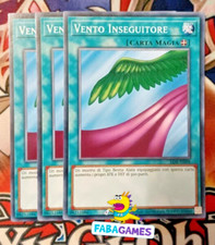 Vento inseguitore lob usato  Santa Sofia