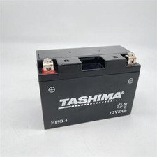 Elite gel batterie gebraucht kaufen  Haiger