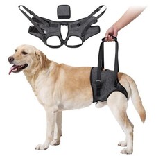 Harnais levage chien d'occasion  Lyon I