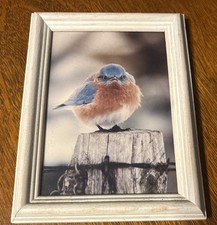 Vintage framed wildlife for sale  Fort Lauderdale