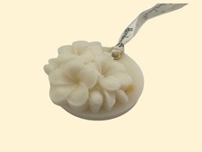 Air freshener coconut for sale  ILFORD