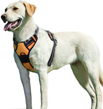 Harnais chien taille d'occasion  Draveil