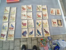 Jeu mariage animaux d'occasion Jeu mariage animaux d'occasion  Tours-