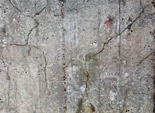 Xxl fototapete wallprint gebraucht kaufen  Lippstadt