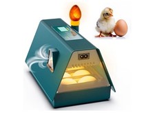 chicken egg incubators for sale chicken egg incubators for sale Anatone