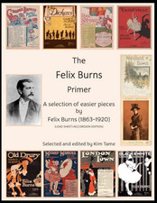 Felix burns primer for sale  UK