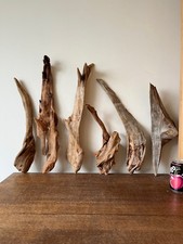 driftwood pieces for sale  UK