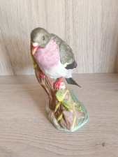 Stock dove kowa for sale  TURRIFF