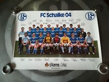 Schalke mannschaftsposter 4x42 gebraucht kaufen  Bad Sassendorf