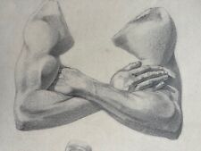 Heinrich walther anatomie gebraucht kaufen  Deutschland