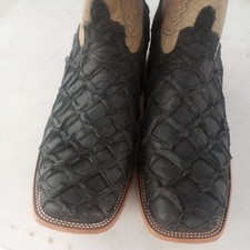 Horse power pirarucu for sale  Weslaco