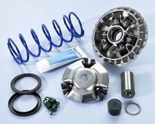 Variatore polini 241.755 usato  Massa di Somma