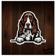 Peeking springer spaniel for sale  USA