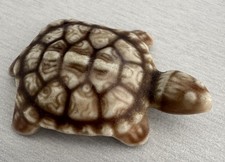 Tiny wade tortoises for sale  ROMFORD