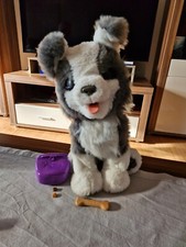 hasbro furreal friends gebraucht kaufen  Rielasingen-Worblingen