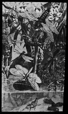 Magic lantern slide for sale  HAYLE