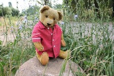 Antiker teddybär mohair gebraucht kaufen  Berlin