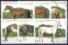 Sahara occidentale 1995 usato  Carugate