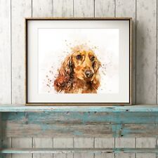 Cocker spaniel dog for sale  STOURBRIDGE