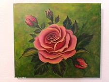 Rosa con boccioli usato  Verbicaro