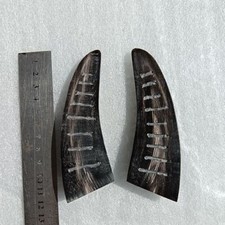 Cuerno de toro negro 12 cm adivinación taoísta adivinación sagrada cuerno de toro puro natural segunda mano  Embacar hacia Mexico