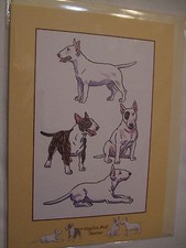 Carte chien bull d'occasion  Troyes