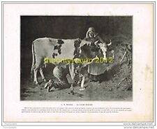 Vache blessee mosler for sale  BOURNEMOUTH