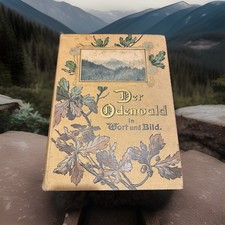 Buch denwald wort gebraucht kaufen  Lobbach