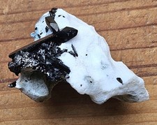 Neptunite mineral specimen for sale  Redwood City