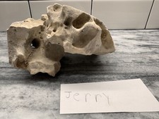 Texas hag stone for sale  Georgetown