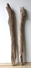 Treibholz schwemmholz driftwoo gebraucht kaufen  Halblech