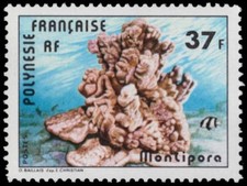 Polinesia francese 312 usato  Spedire a Italy