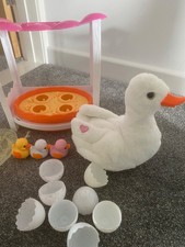 Pets alive mama for sale  ST. IVES