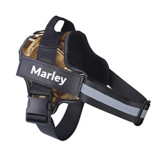 Harnais chien collier d'occasion  Besançon